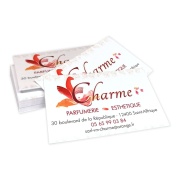 cdv-charme
